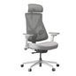 Hinomi D3 Ergonomic Office Chair