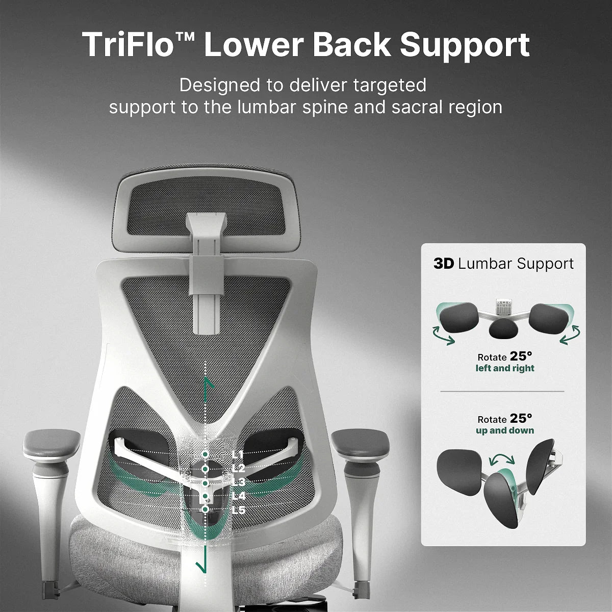 Hinomi D3 Ergonomic Office Chair