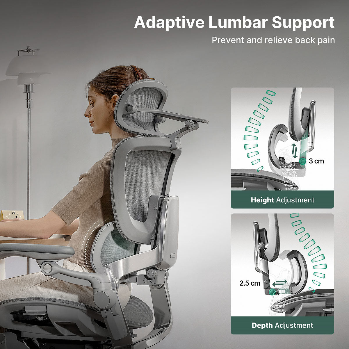 H2 Pro Ergonomic Home Office Chair