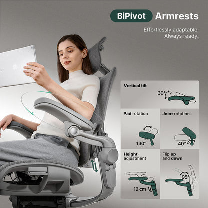 H2 Pro Ergonomic Home Office Chair