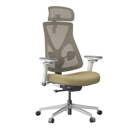 Hinomi D3 Ergonomic Office Chair