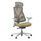 Hinomi D3 Ergonomic Office Chair