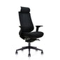 Hinomi Nest Ergonomic Office Chair