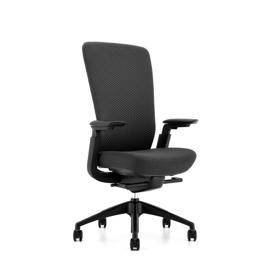 Hinomi Nution Ergonomic Office Chair