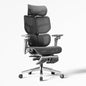 Hinomi X2 Pro Ergonomic Office Chair - Successor to X1