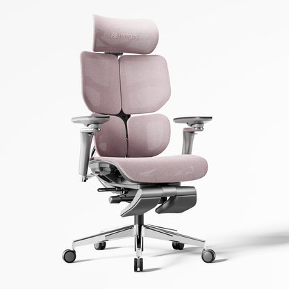 Hinomi X2 Pro Ergonomic Office Chair - Successor to X1