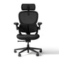 Hinomi Q2 Ergonomic Office Chair with Free Footrest