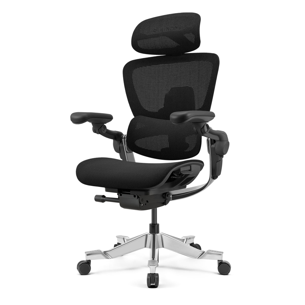 H2 Pro Ergonomic Home Office Chair