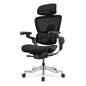 H2 Pro Ergonomic Home Office Chair
