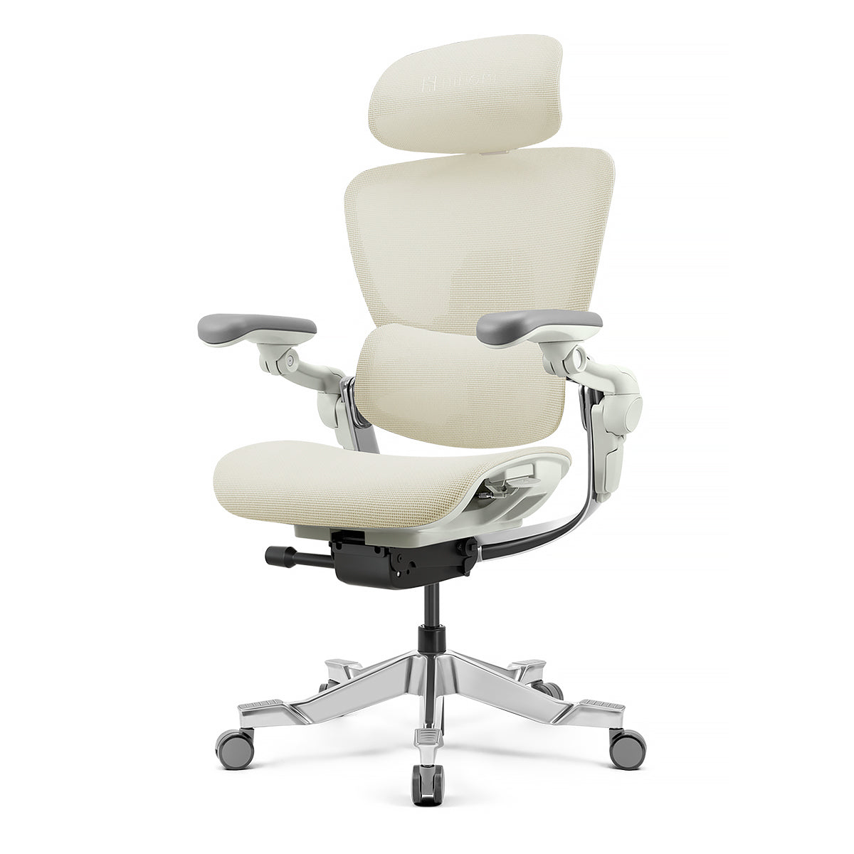 H2 Pro Ergonomic Home Office Chair