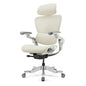 H2 Pro Ergonomic Home Office Chair