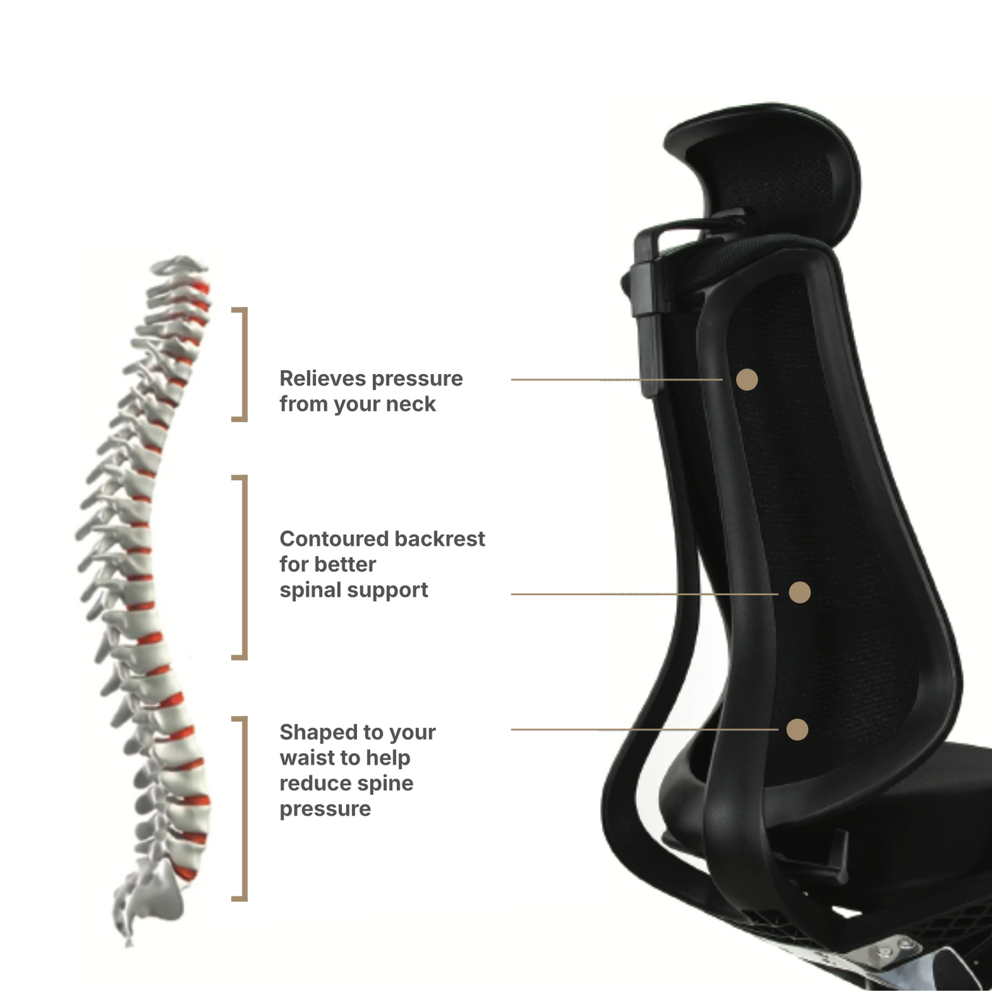 Hinomi Nest Ergonomic Office Chair