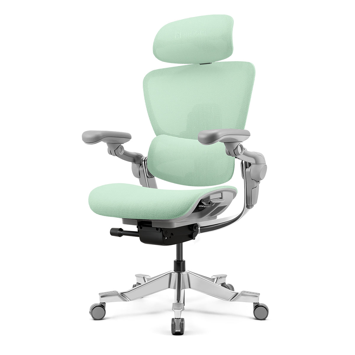 H2 Pro Ergonomic Home Office Chair