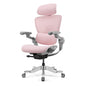 H2 Pro Ergonomic Home Office Chair