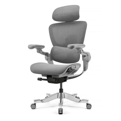 H2 Pro Ergonomic Home Office Chair