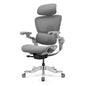 H2 Pro Ergonomic Home Office Chair