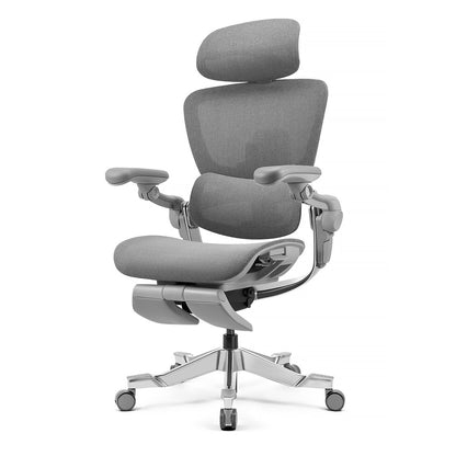 H2 Pro Ergonomic Home Office Chair