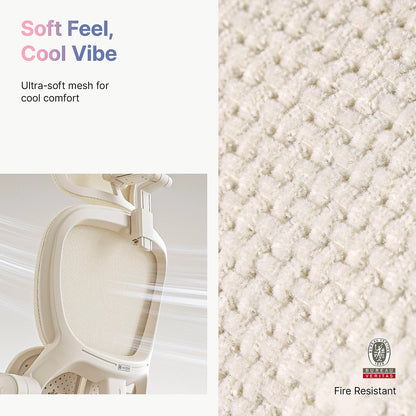 Hinomi Q2 Ergonomic Office Chair with Free Footrest