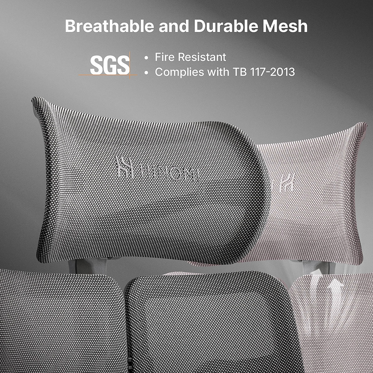 Hinomi X2 Pro Ergonomic Office Chair - Successor to X1