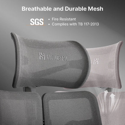 Hinomi X2 Pro Ergonomic Office Chair - Successor to X1